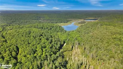 0 Paynes Road, Highlands East, On K0l 2y0
