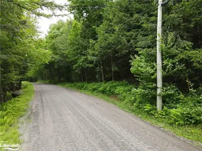 0 Sam English Road, Huntsville, On P1h 2j3