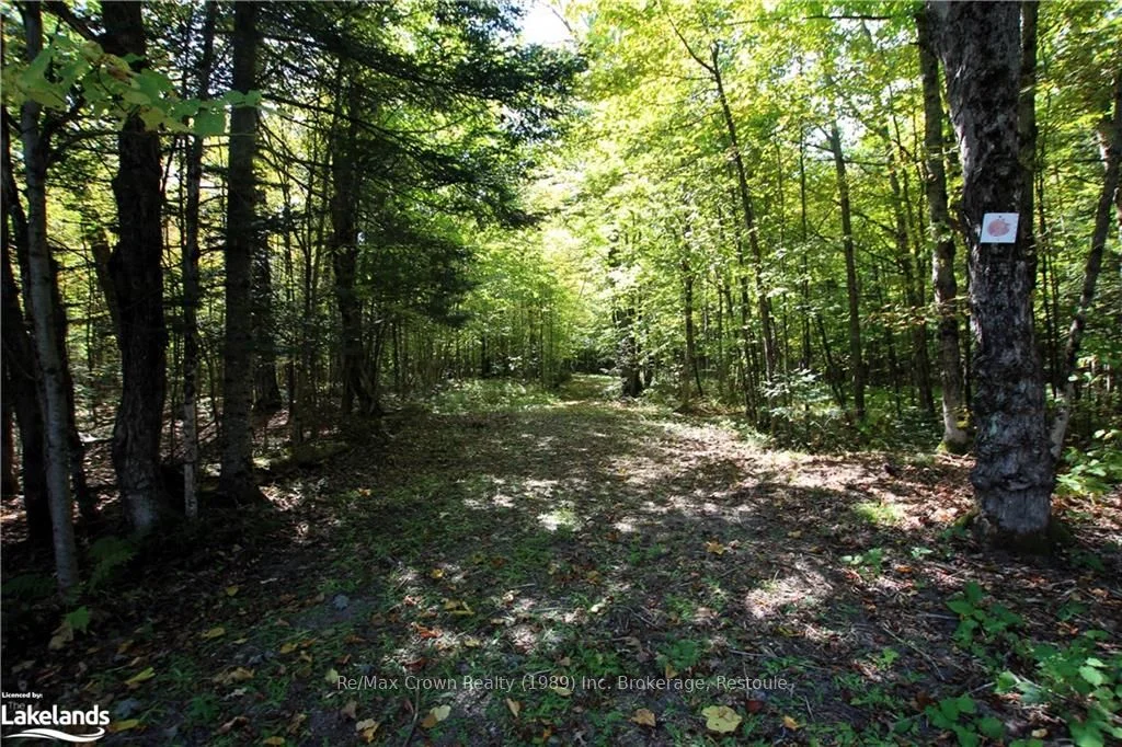 281 Lovers Lane, Parry Sound Remote Area, On, P0h 1s0