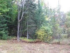 443 THREE MILE LAKE Road E, Armour, ON P0A 1L0