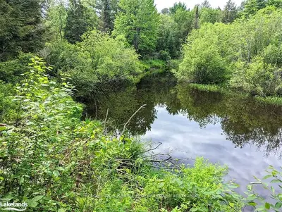 Vacant Land in Gravenhurst