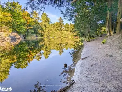 97 Southbank Drive, Bracebridge, On P1l 1g2