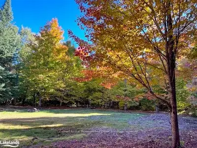 0 Limberlost Road, Lake Of Bays, On P1h 2j6