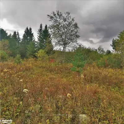 0 Highway 141, Huntsville, On, P0b 1m0