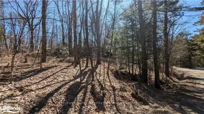 0 Houston Road, Muskoka Lakes, On P1l 1x4