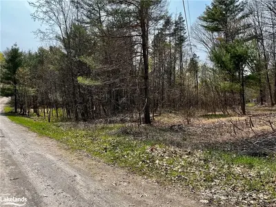 1005 Strathdee Road, Muskoka Lakes, On P0b 1m0