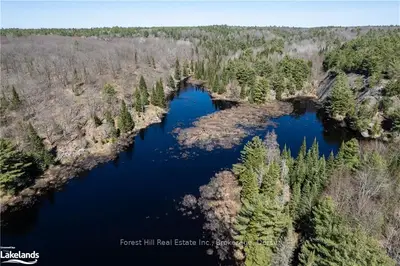 Part Lot 32 Concession 9 Line, Lake Of Bays, On P0a 1b0