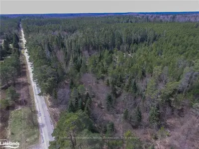 84 Cardwell Lake Road, Huntsville, On P0b 1m0