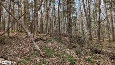 0 Concession 6, Huntsville, On, P1h 2j2