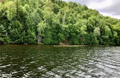 Lot 13 Little Long, Parry Sound Remote Area, On P0h 1s0