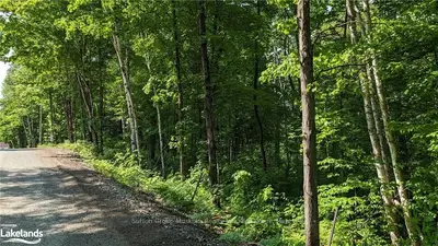 Lot 1 Tally Ho Winter Park Road, Lake Of Bays, On P1h 2e5