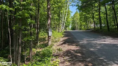 Lot 2 Tally Ho Winter Park Road, Lake Of Bays, On P1h 2e5