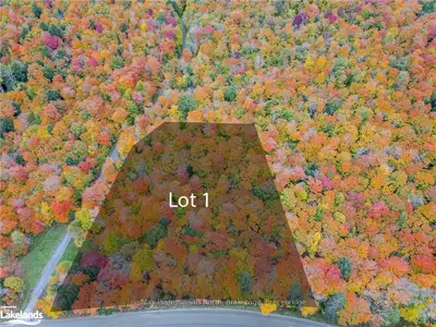 Lot 1 Eagle Lake Road, Parry Sound Remote Area, On P0a 1x0
