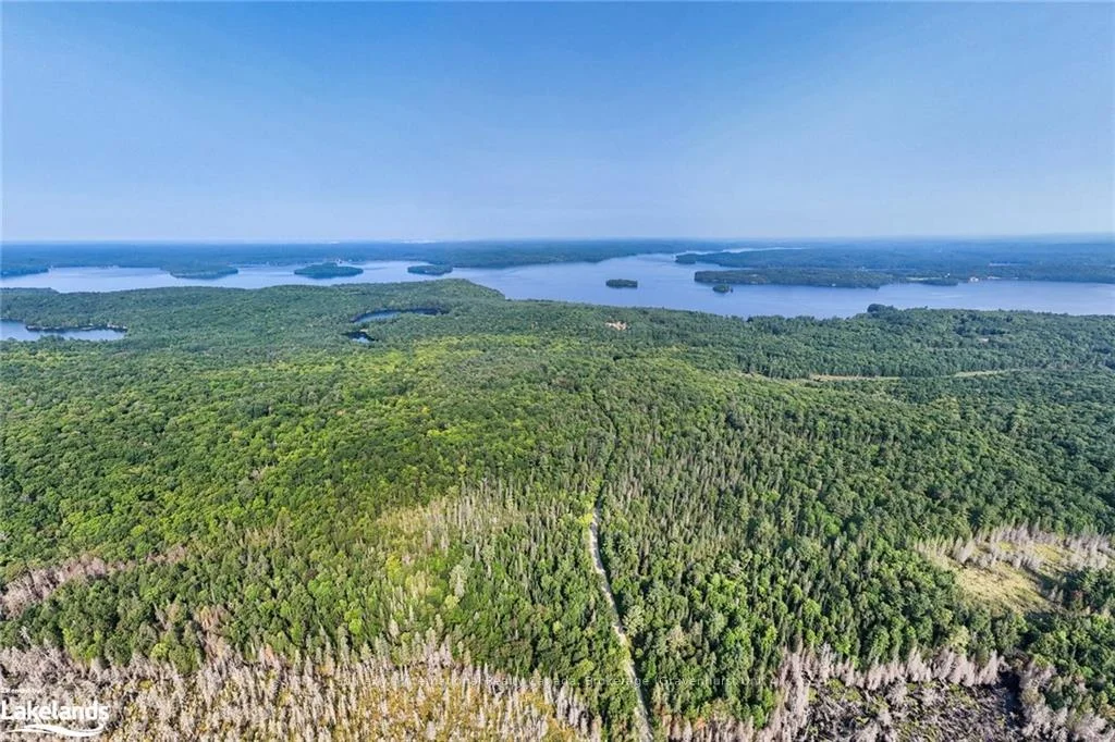 1045 BROWNS BRAE Road, Lake of Bays, ON P0B 1A0