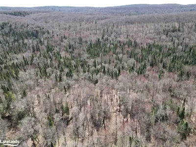 0 Ib & O Rail Trail, Highlands East, On K0m 1r0