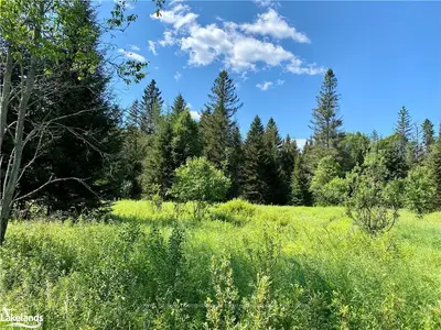 Vacant Land in Parry Sound Remote Area