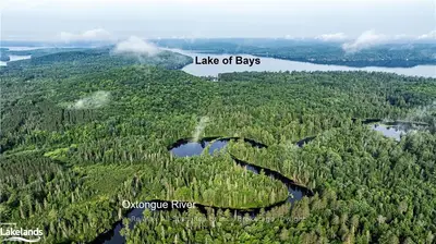 1006 Foxpoint Road 1, Lake Of Bays, On P0a 1h0