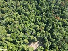 LOT 31 & 33 CONCESSION 7 CONCESSION 7 Road, McMurrich/Monteith, ON P0A 1Y0