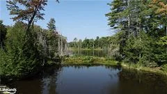 Lot 31-32 Con 10 Brunel, Huntsville, On, P1h 2j6