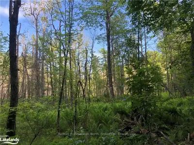 Lot 7 Con 5, Lake Of Bays, On, P0b 1a0
