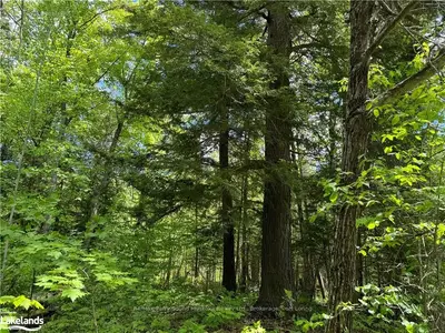 Part 3-22342 East Road, Parry Sound Remote Area, On, P0h 1s0