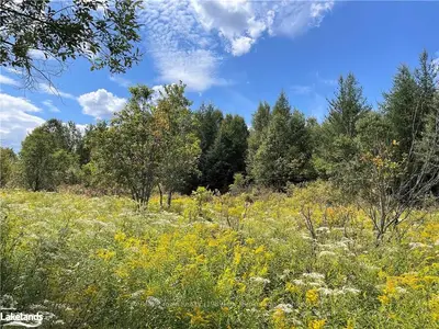 0 Clelland Road, Parry Sound Remote Area, On P0h 1n0