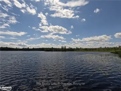 Lot 20 N Jordan Lake Road, Tudor And Cashel, On K0l 1w0