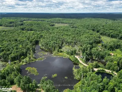 Lot 31-32 Con 10 Brunel Concession, Huntsville, On, P1h 2j6