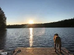 154 Blackstone Lake Water, The Archipelago, On, P2a 0b7