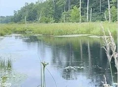 2473 Muskoka 169 Road, Muskoka Lakes, On P0c 1m0