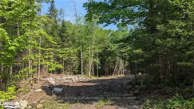 Lot 2 Limberlost Road, Lake Of Bays, On P1h 2j6