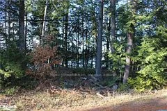 0 Crystal Lake Road, Kawartha Lakes, On K0m 2a0