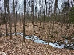 0 Queens Line Road, Minden Hills, On K0m 2k0