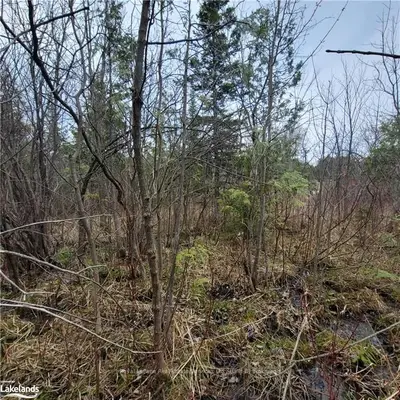 Part Lot D20 Stokes Bay Road, Northern Bruce Peninsula, On N0h 1w0