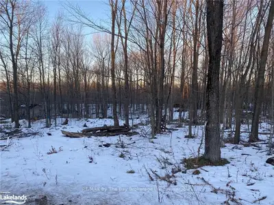 226 High Street, Georgian Bay, On P0c 1h0