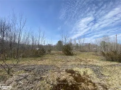58 Lodge Road, Georgian Bay, On L0k 1s0
