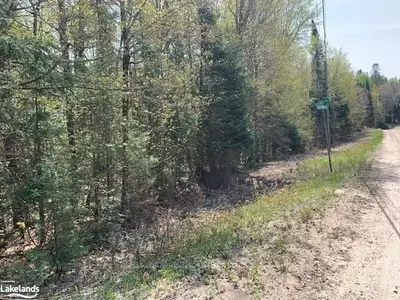 785 South Horn Lake Road, Strong, On P0a 1z0