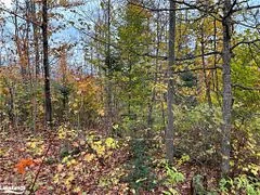 Lot 8 Concession 8 Old Ranch Road, Joly, On P0a 1z0