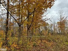 LOT 8 CONCESSION 9 OLD RANCH Road, Joly, ON P0A 1Z0