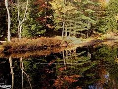 0 Southbank Drive, Bracebridge, On P1l 1r1