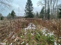 Lot 24 Chapel Street, Magnetawan, ON P0A 1P0