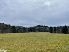 475 Hoodstown Road 3, Huntsville, On P1h 2j2