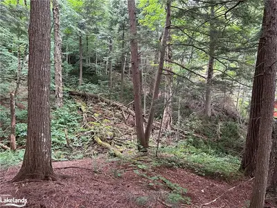 1055 Blue Lake Road, Lake Of Bays, On P1h 2j6