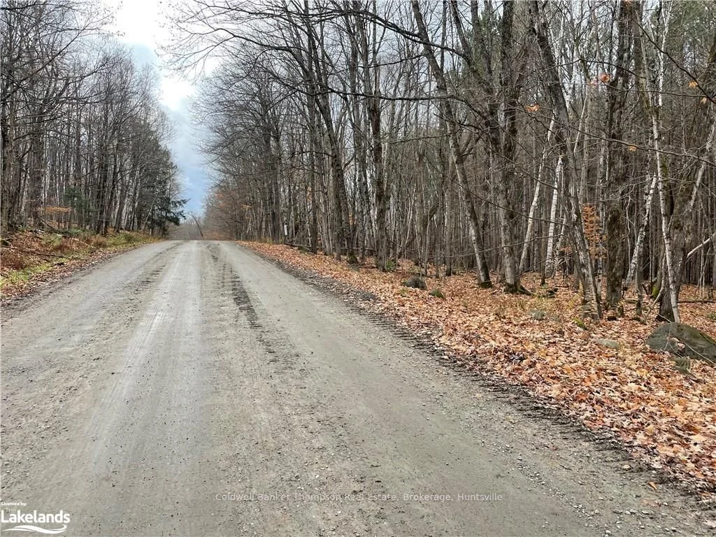 0 PUT IN BAY Road, Lake of Bays, ON P1H 2J6