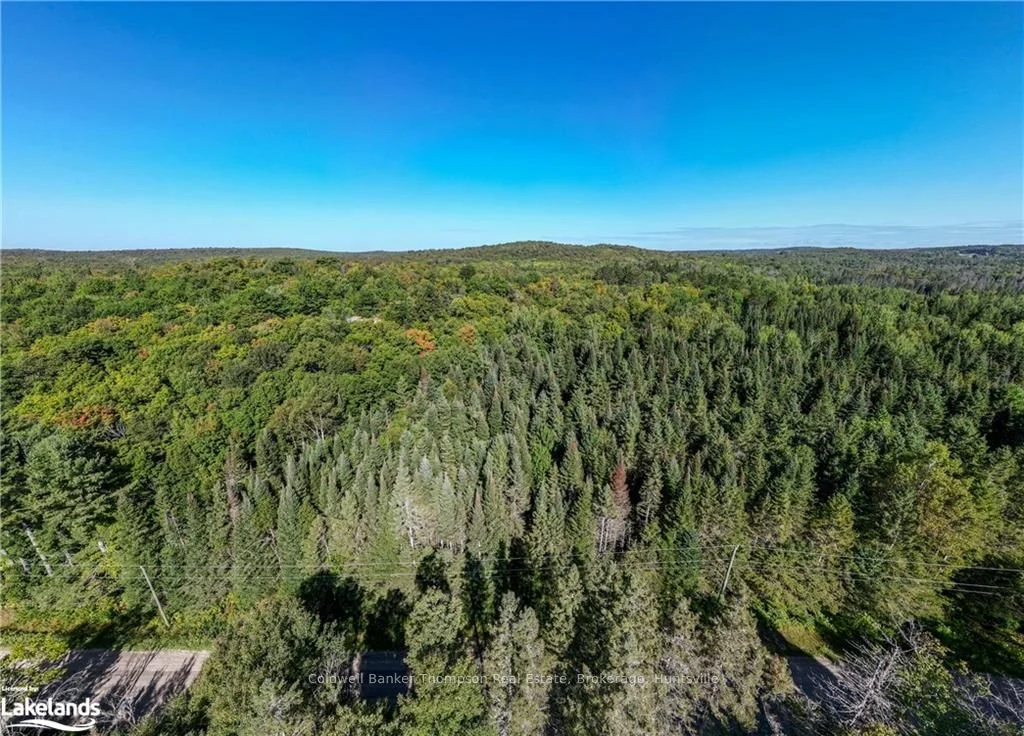 Lot 1 Stoney Road, Armour, On P0a 1c0