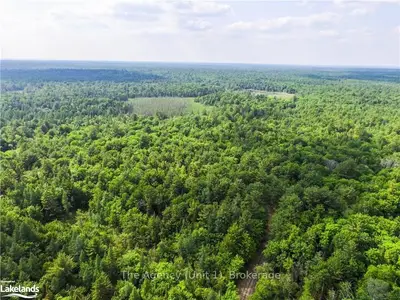 1560 BEAR CAVE Road Lot 3, Muskoka Lakes, ON P0C 1J0
