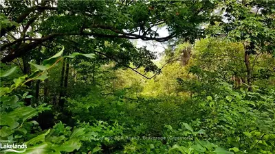 Lot 31 9 County Road, Melancthon, On N0c 1b0