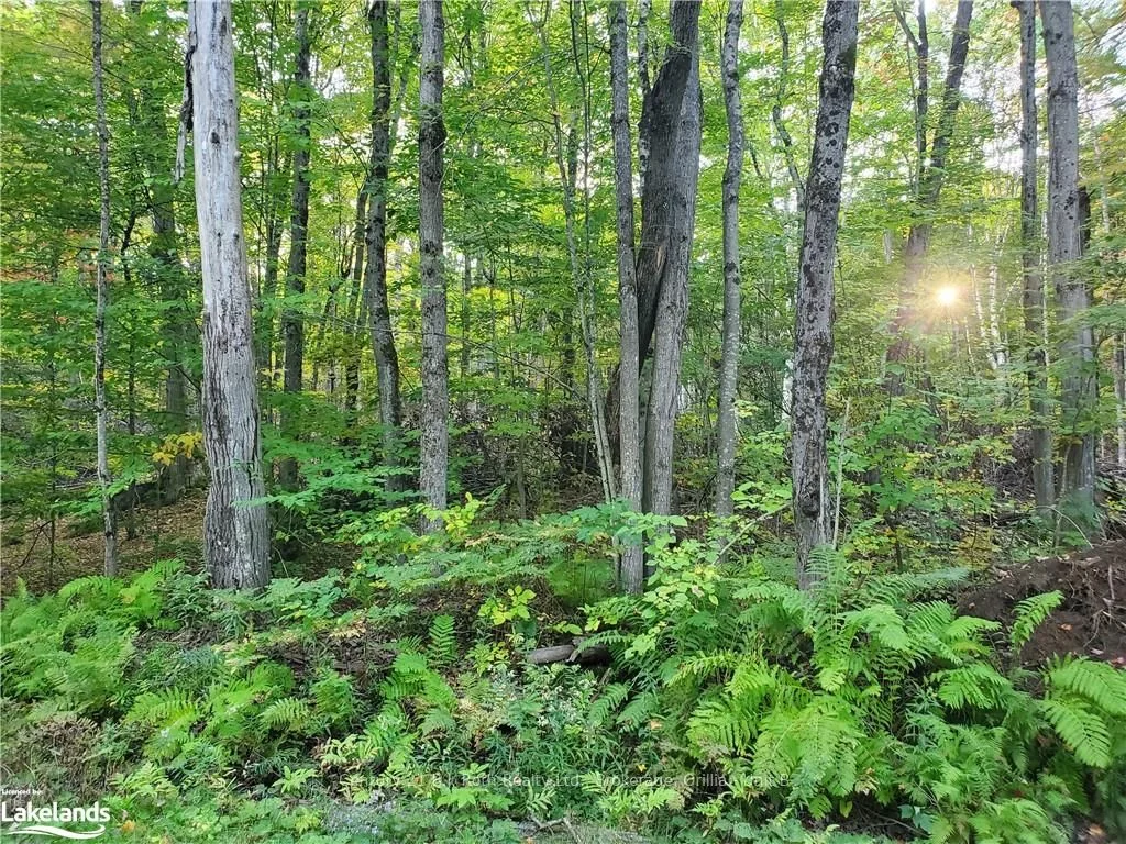 1123 Silverwood Road, Minden Hills, On K0m 2k0