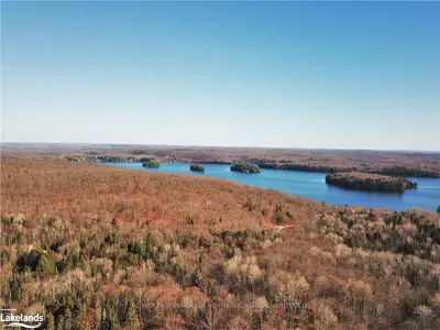 442 THREE MILE LAKE Road 2, Armour, ON P0A 1L0