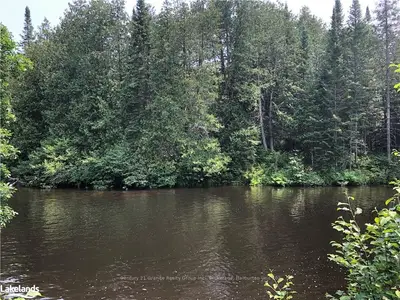 2136 IRONDALE Road, Highlands East, ON K0M 1R0